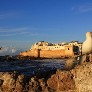 City Trek Essaouira