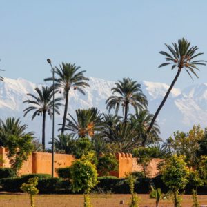 City Trek Marrakech