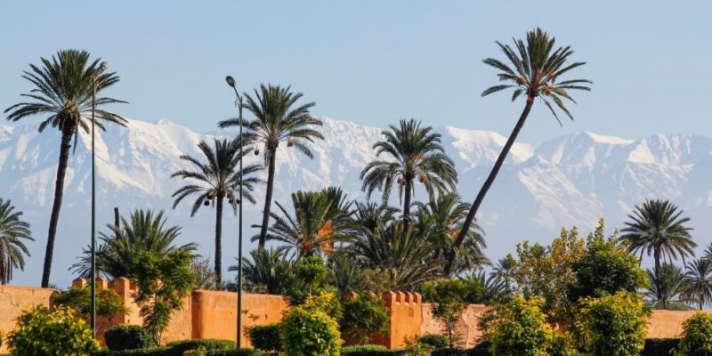 City Trek Marrakech