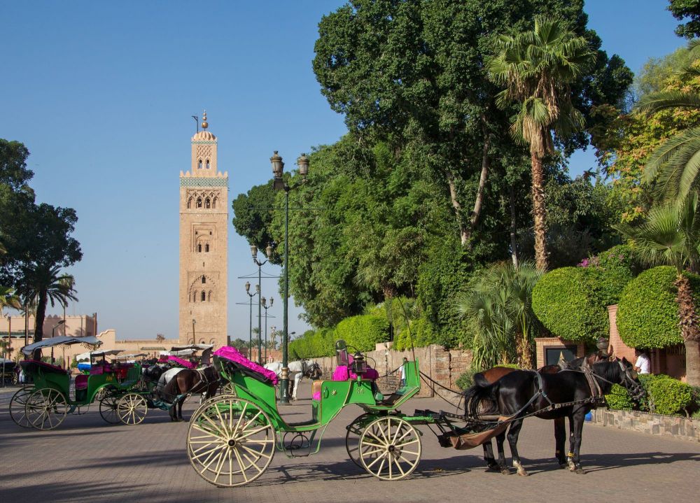 City Trek Marrakech