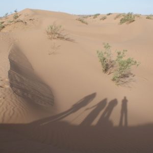 Découverte des vallées du Sud Chegaga Maroc