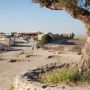 Désert d'Agafay et campagne d'Essaouira