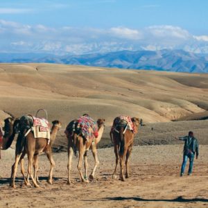 Excursion Agafay Déjeuner et balade dromadaire Maroc