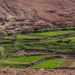 Excursion dans la vallée du Zat Maroc