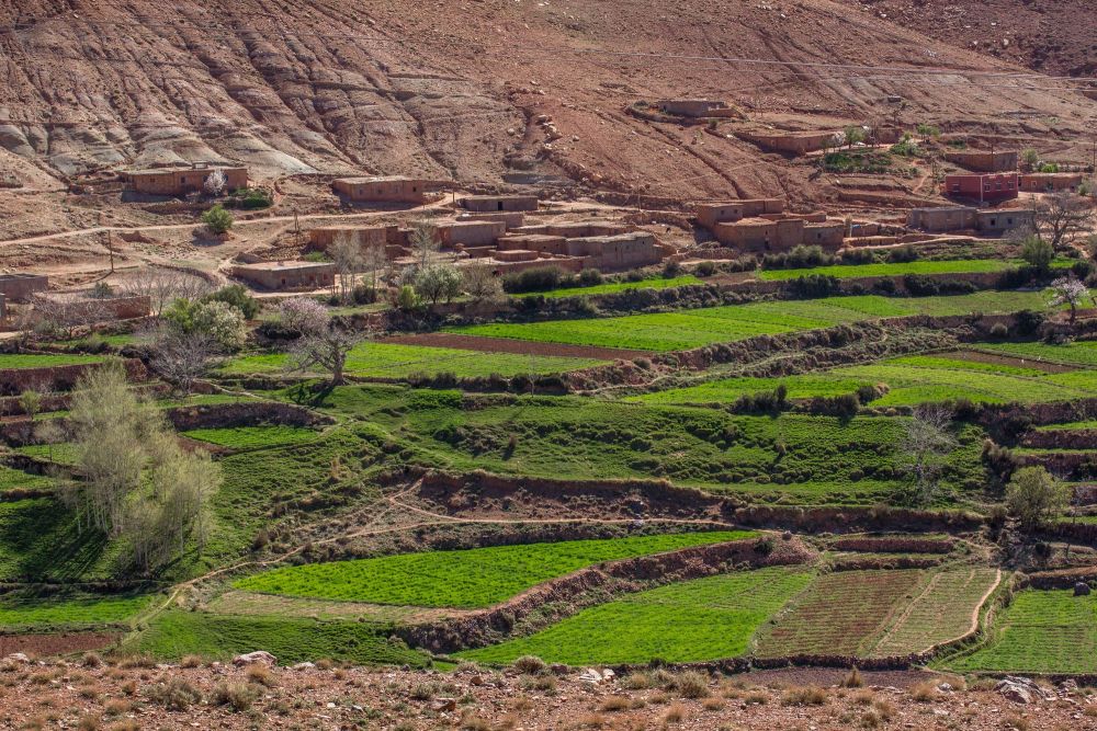 Excursion dans la vallée du Zat Maroc
