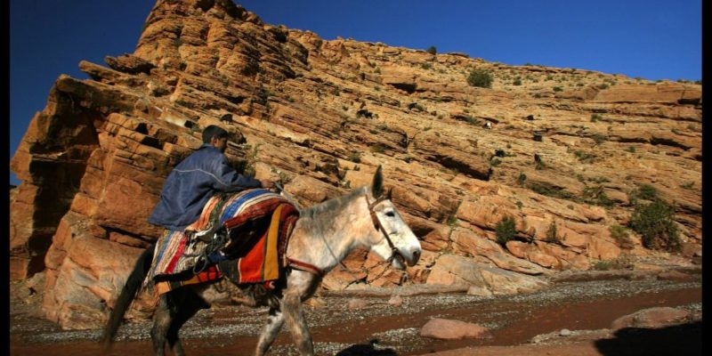 Mini trek dans la vallée de l'Ounila Maroc