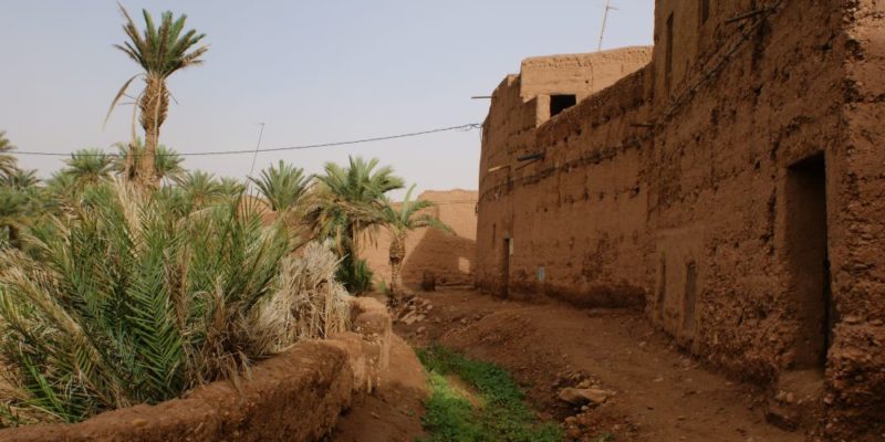 Rando Chamelière dans la vallée du Draa