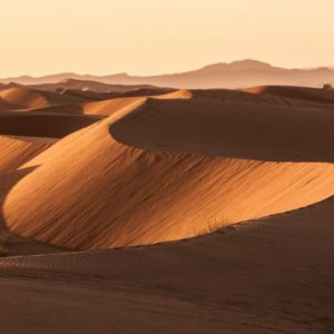 Rando chamelière dans les dunes du Sahara