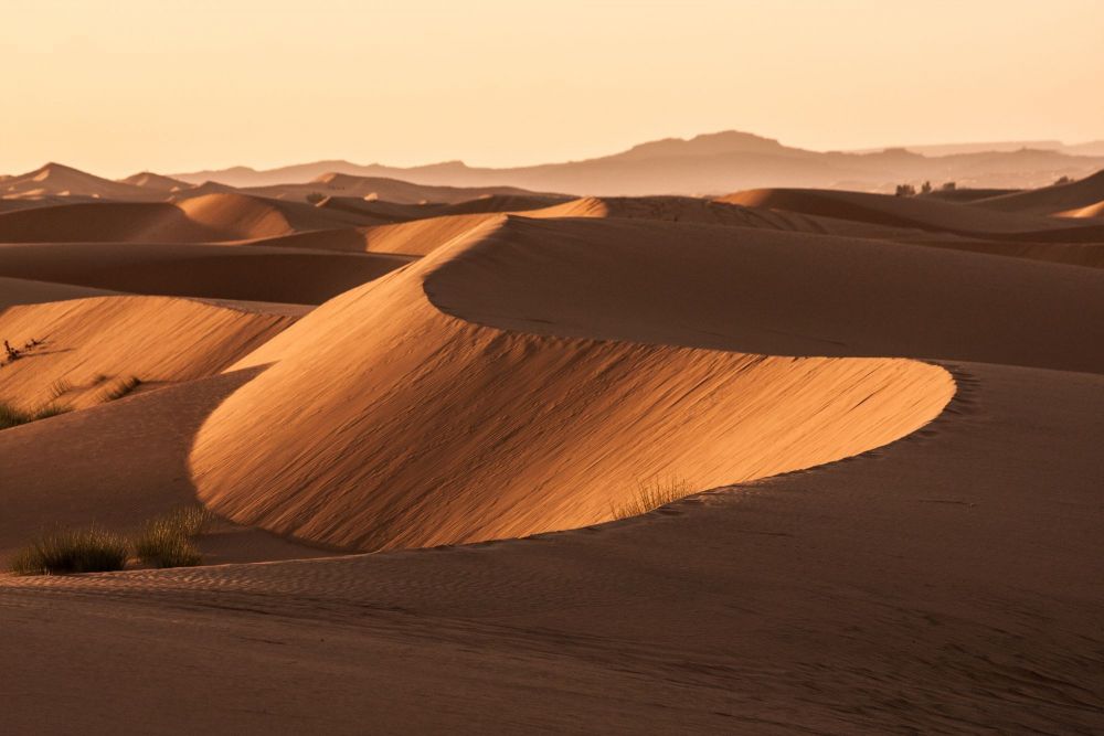 Rando chamelière dans les dunes du Sahara