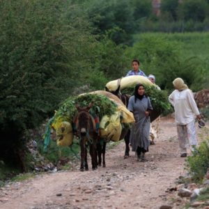 Séjour Famille dans le Haut Atlas Maroc
