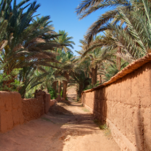 Temps du Sud Desert Sahara Maroc