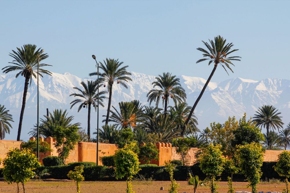 Visite des jardins de Marrakech