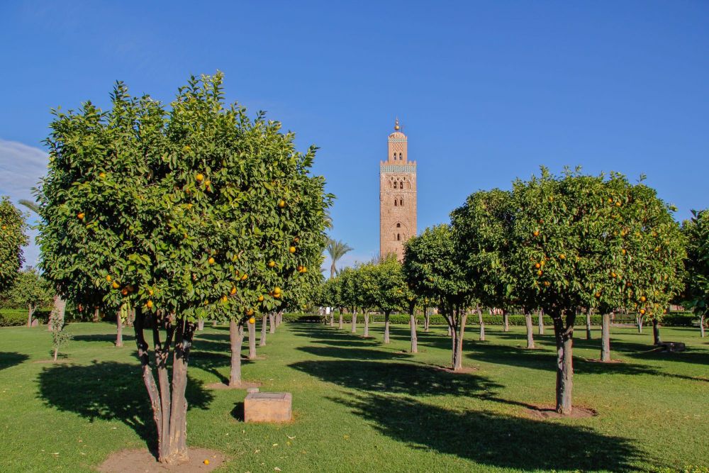 Visite des jardins de Marrakech
