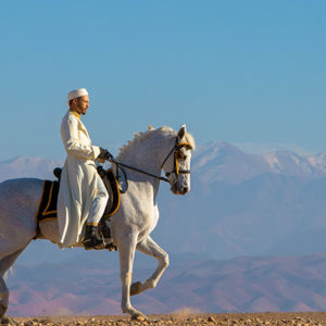 incentive voyage motivation entreprise maroc
